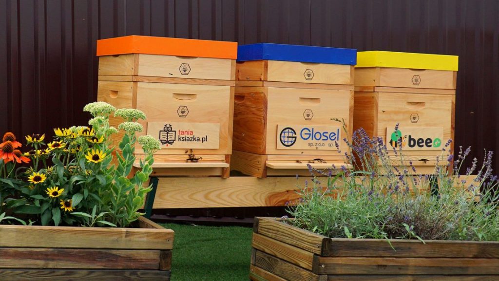 Spółka Glosel stawia na eko marketing? Pomaga ratować pszczoły i buduje miejskie ule