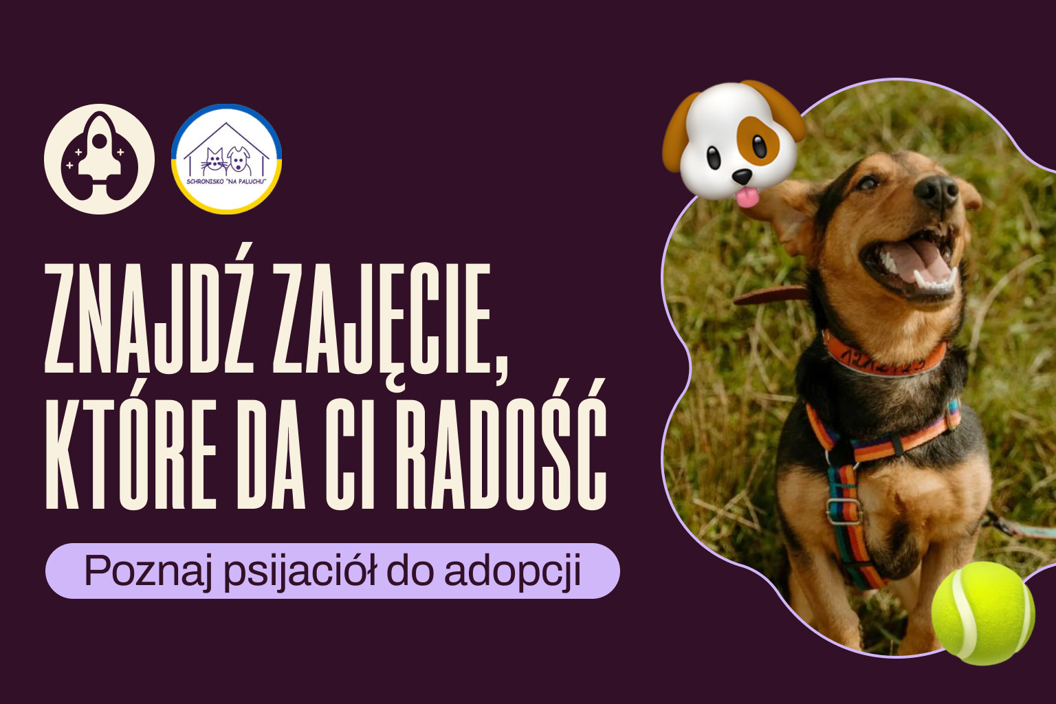Banner zachęcający do adopcji psów ze Schroniska 
